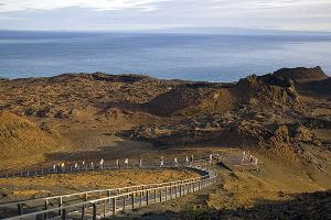 Bartholome, Galapagos Islands 081.jpg